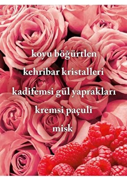 Into The Night Vücut Spreyi 200 ml Kadınlar İçin Koyu Böğürtlen ve Gül fiyatları