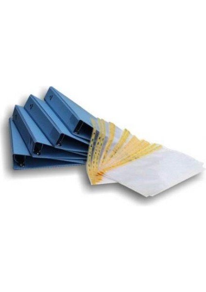 A4 Dissipative Klasör