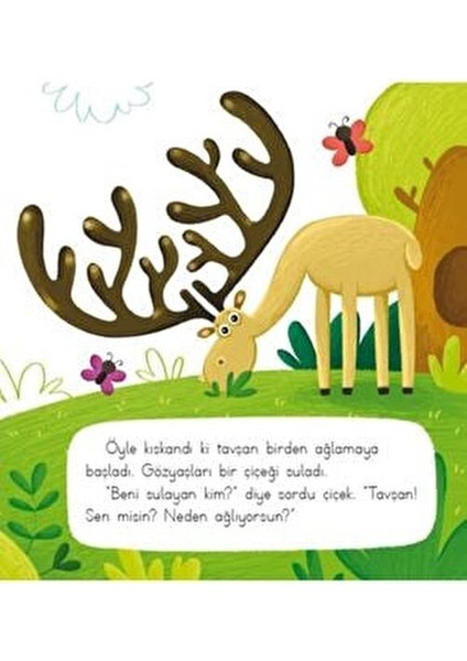 Duygular Serisi ve Davranış Yönetimi Seti 2-6 Yaş İçin Eğlenceli Tasarım modelleri