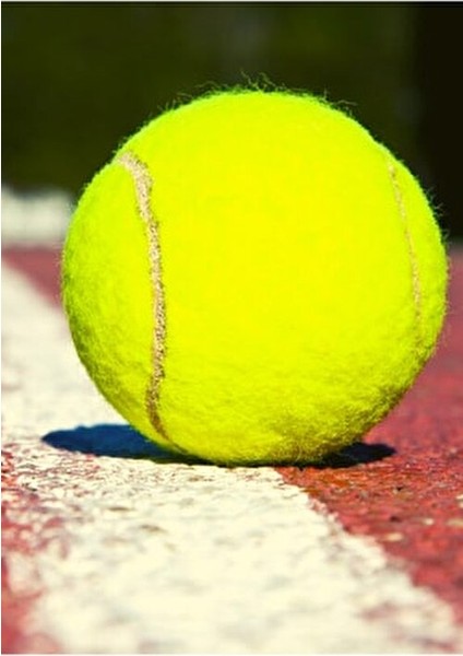 1 Adet Sarı Antrenman Tenis Topu - Tennis Ball Yüksek Kalite Malzeme Özellikleri indirimleri