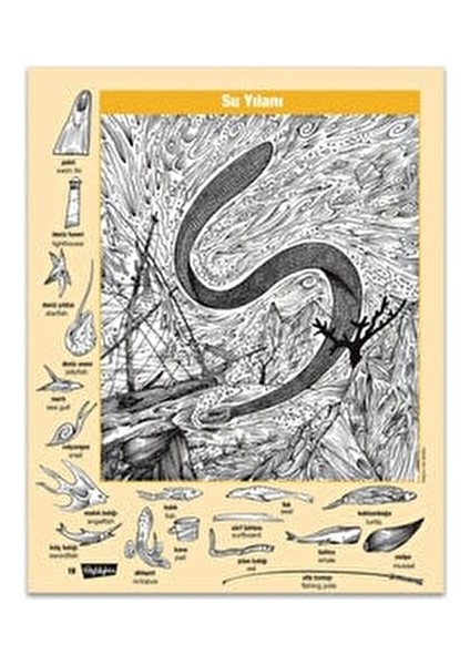 Gizli Resimler Hidden Pictures 4 Lü Set Gizli Resimler Ara Bul Etkinlikleri Aktivite Kitabı fırsatları