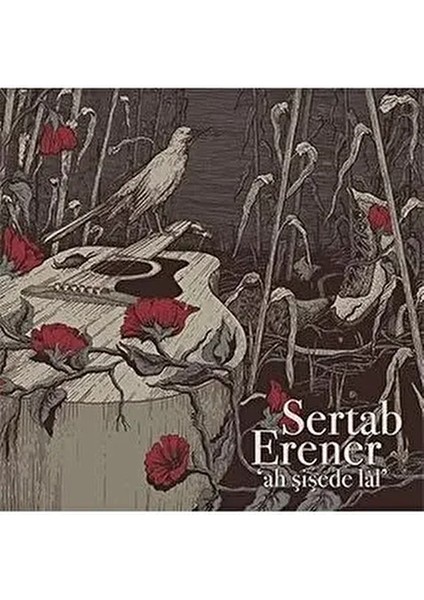Sertab Erener Ah Şişede Lal Plak Pop Müzik Türünde Nefis Akustik Albüm