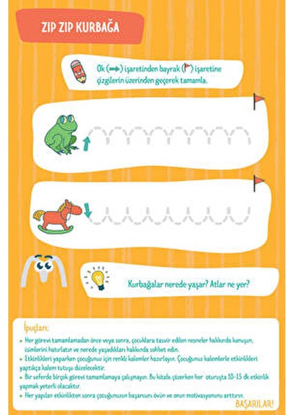 2-4 Yaş Evde Etkinlik Zeka ve Dikkat Gelişimi 5'li Set fiyatları