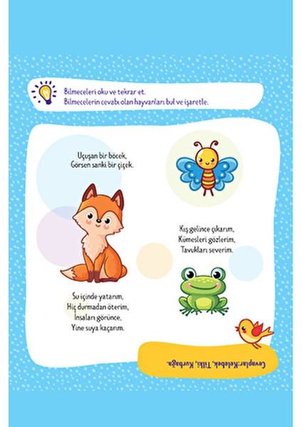 2-4 Yaş Evde Etkinlik Zeka ve Dikkat Gelişimi 5'li Set modelleri