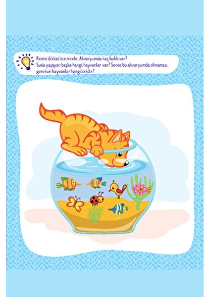 2-4 Yaş Evde Etkinlik Zeka ve Dikkat Gelişimi 5'li Set