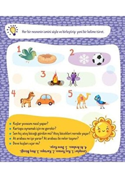 2-4 Yaş Evde Etkinlik Zeka ve Dikkat Gelişimi 5'li Set
