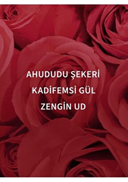 Dark Velvet Oud Vücut Spreyi Odunsu Koku 236 ml Unisex Kullanıma Uygun fiyatları