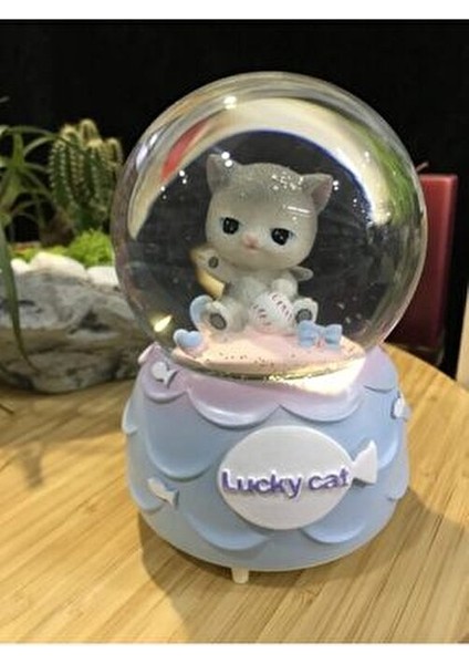 Kar Tanesi Püskürtmeli Işıklı Şanslı Sevimli Kedi Lucky Cat Kar Küresi Müzik Kutusu