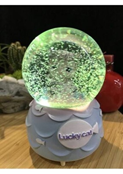 Kar Tanesi Püskürtmeli Işıklı Şanslı Sevimli Kedi Lucky Cat Kar Küresi Müzik Kutusu modelleri