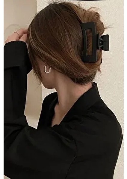 Kadın 6'lı Kahve Büyük Xl Mandal Toka Seti fiyatları