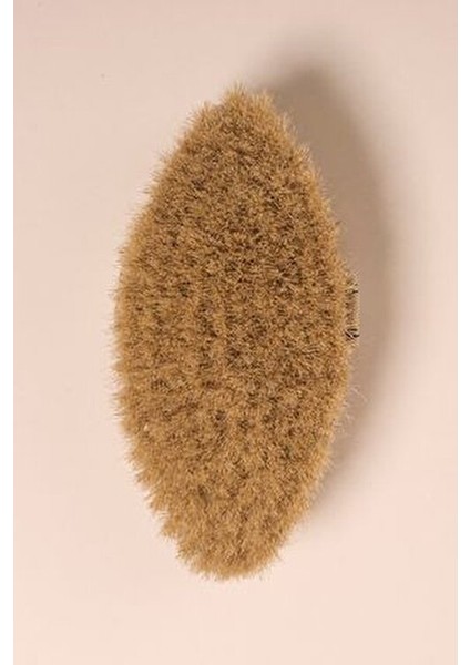 Doğal At Kılı Selülit Fırçası - Vanilla Cilt Bakımı İçin Etkili Ürün Unisex Kullanım fiyatları