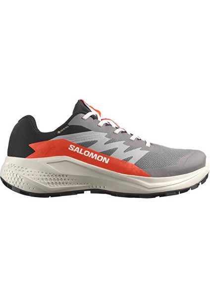 Alphaglide Gore-Tex Erkek Outdoor Koşu Ayakkabısı L47975300 Gri