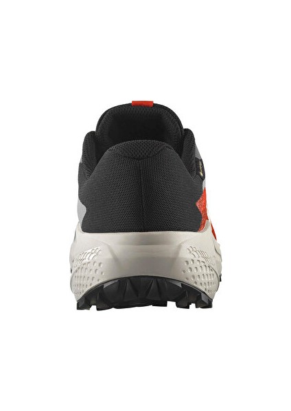 Alphaglide Gore-Tex Erkek Outdoor Koşu Ayakkabısı L47975300 Gri fırsatları