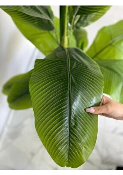 180 3 Köklü Yapay Ağaç Muz Ağacı Yapay Starliçe 180CM modelleri