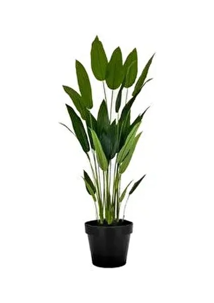 175CM 20 Yaprak Yapay Ağaç Muz Ağacı Yapay Starliçe 175CM 20 Yaprak