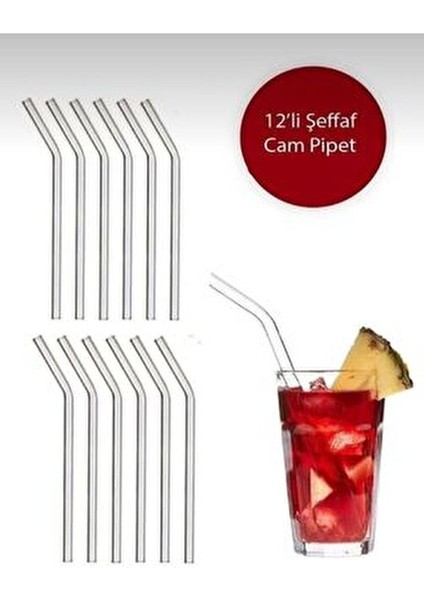 Cam Pipet 12 Adet Isıya Dayanıklı Eğimli Pipet