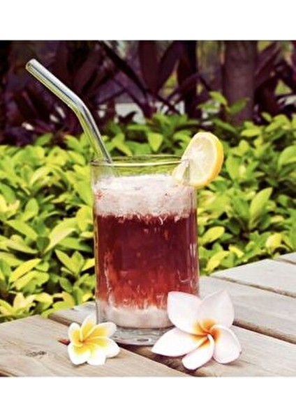 Cam Pipet 12 Adet Isıya Dayanıklı Eğimli Pipet modelleri