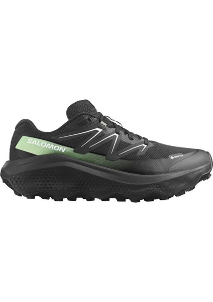 Ultra Flow 2 Gore-Tex Erkek Outdoor Koşu Ayakkabısı L47981400 Siyah