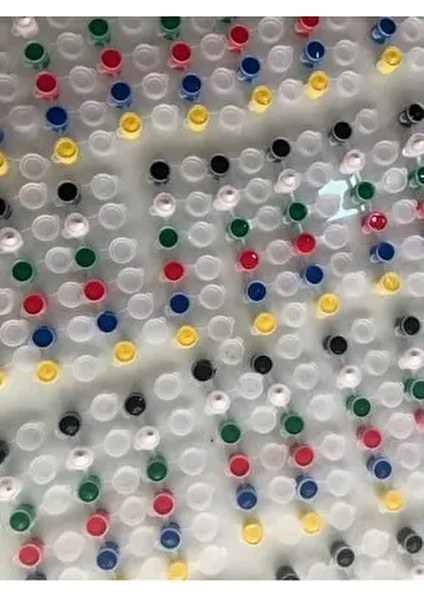 Akrilik Boya Kutusu 3'er ml Haznede 6 Farklı Ana Renk ile Sanatsal Çalışmalar İçin