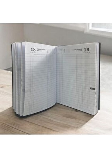 17X24 Ticari Kasa Ajandası 2025 Yılı Günlük Ajanda fiyatları