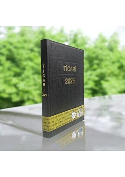 17X24 Ticari Kasa Ajandası 2025 Yılı Günlük Ajanda indirimleri