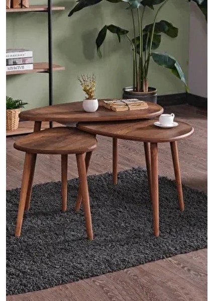 MDF Alvin Zigon Orta Sehpa Seti Ahşap Oval Tasarım Kahverengi 3'lü 80x60 cm