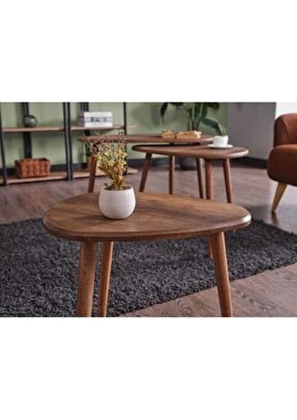 MDF Alvin Zigon Orta Sehpa Seti Ahşap Oval Tasarım Kahverengi 3'lü 80x60 cm fiyatları