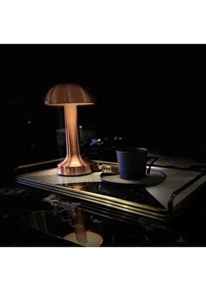 Bronz Renk Masa Lambası Tek Anahtarla 3 Renk CT-8430 fiyatları