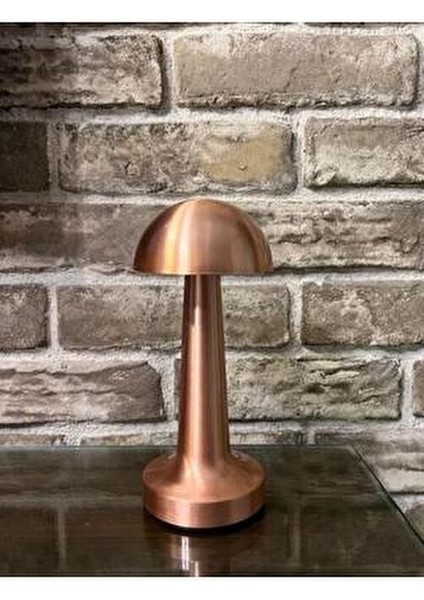 Bronz Renk Masa Lambası Tek Anahtarla 3 Renk CT-8430 modelleri