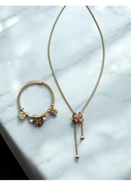 Yonca Işıltısı Çelik Takı Seti CNS049