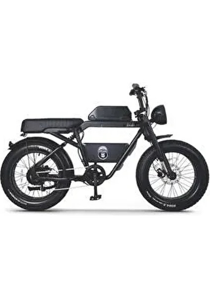 Ape Ryder Bonobo Iki Kişilik Elektrikli Bisiklet