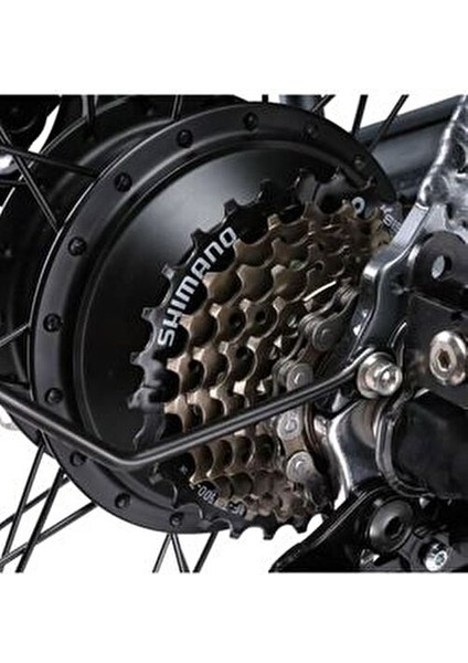 Ape Ryder Bonobo Iki Kişilik Elektrikli Bisiklet modelleri