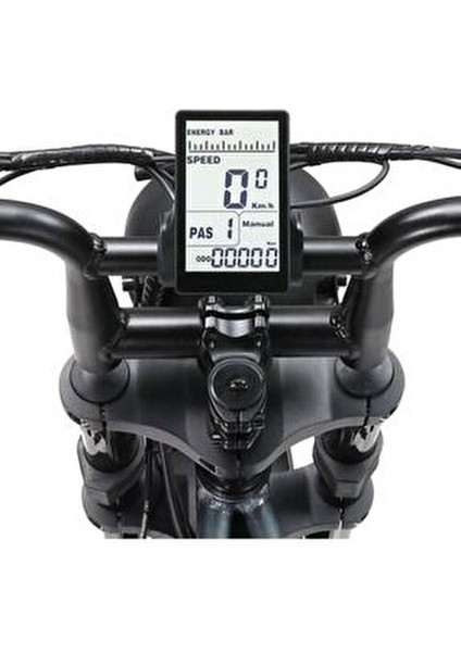 Ape Ryder Bonobo Iki Kişilik Elektrikli Bisiklet fırsatları