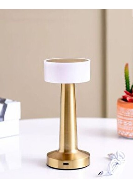 Dokunmatik Led Masa Lambası - 3 Renk Modlu modelleri