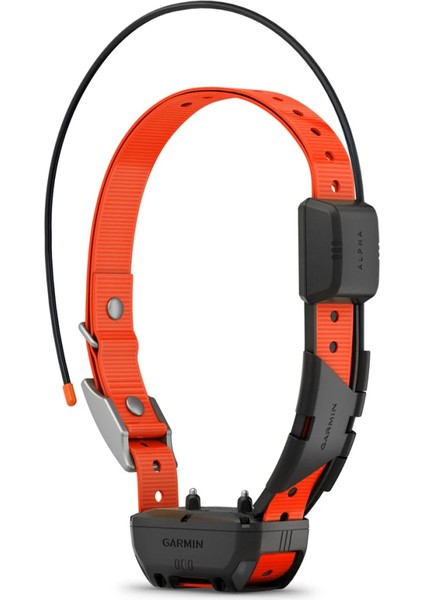 Alpha Tt 25 - Köpek Tasması fiyatları