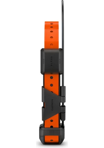 Alpha Tt 25 - Köpek Tasması modelleri