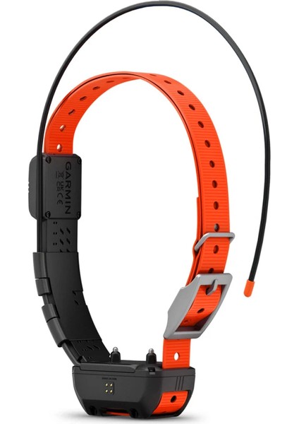 Alpha Tt 25 - Köpek Tasması