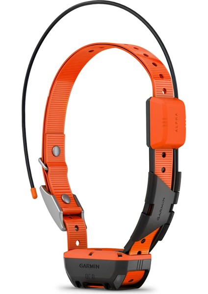 Alpha T 20 - Köpek Tasması fiyatları