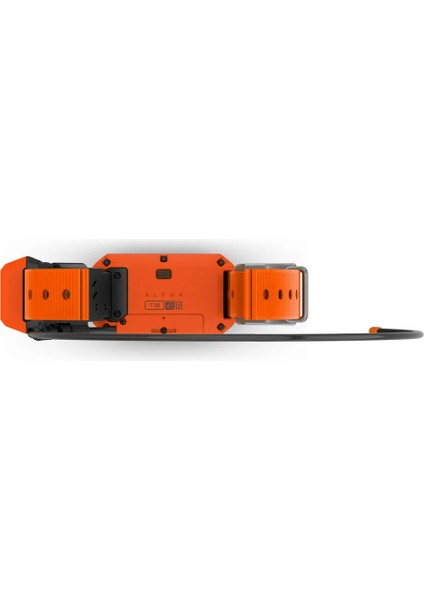 Alpha T 20 - Köpek Tasması fırsatları