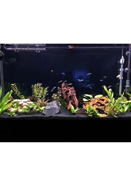 Profesyonel 1 kg Siyah Akvaryum Bitki Kumu Açık Paket modelleri