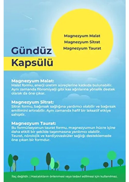 Magnezyum Gündüz&gece 60 Tablet Glisinat-Malat-Sitrat-Taurat modelleri