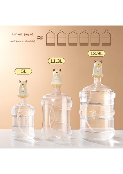 Elektrikli Varil Suyu Otomatik Su Çıkarma Pompası, Saf Içme Suyu Makinesi (Yurt Dışından) modelleri
