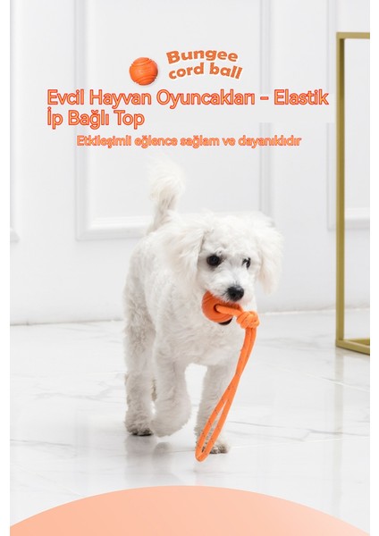 Evcil Hayvan Oyuncak Topu Halatlı Oyuncak Topu (Yurt Dışından) fiyatları