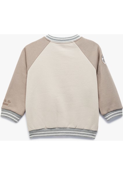 Uzun Reglan Kol Cep Detaylı Renk Bloklu Şardonlu Ceket fiyatları