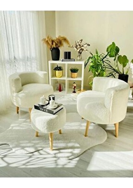 Çay Seti Ikili Koltuk Berjer ve Puf Takımı (Salon, Balkon, Ofis) 3 Lü Takım modelleri