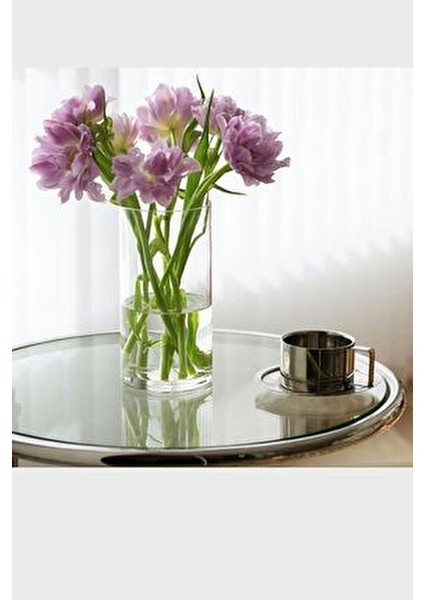 2'li Silindir Cam Vazo 20 cm Yükseklik 10 cm Genişlik El Imalatıdır fiyatları