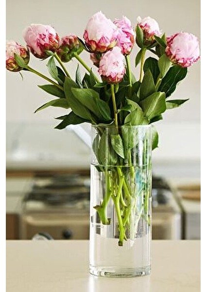 2'li Silindir Cam Vazo 20 cm Yükseklik 10 cm Genişlik El Imalatıdır modelleri