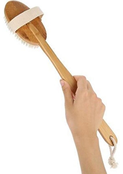 Saplı %100 Doğal At Kılı Selülit Masaj Fırçası 2 Parça Kuru Fırçalama Peeling Batık Önleme Fırçası