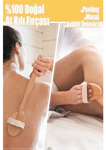 Saplı %100 Doğal At Kılı Selülit Masaj Fırçası 2 Parça Kuru Fırçalama Peeling Batık Önleme Fırçası indirimleri