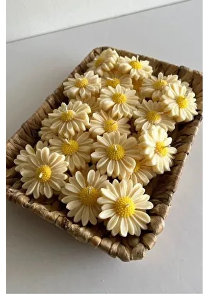 10 Adet Papatya Mum - Hediyelik Söz, Nişan, Nikah, Kına, Düğün, Kutlama, Parti ve Organizasyon Mumu